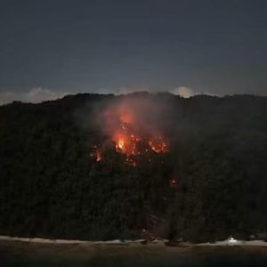 Bencana Indonesia Hari Ini, Kebakaran TPA Surakarta dan Karhutla Masih Ditangani