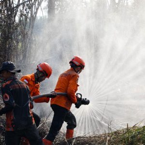 Karhutla Jambi Makin Diwaspadai, 1.879 Hektare Lahan Terbakar dan Ribuan Personel Dikerahkan