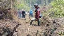 Karhutla dan Banjir Melanda Sejumlah Wilayah Indonesia, BNPB Catat Dampaknya