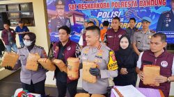 Polisi Bongkar Penyelundupan 12 Kg Ganja di Bandung, Tersangka Diduga Konsumsi Ganja Lewat Teh