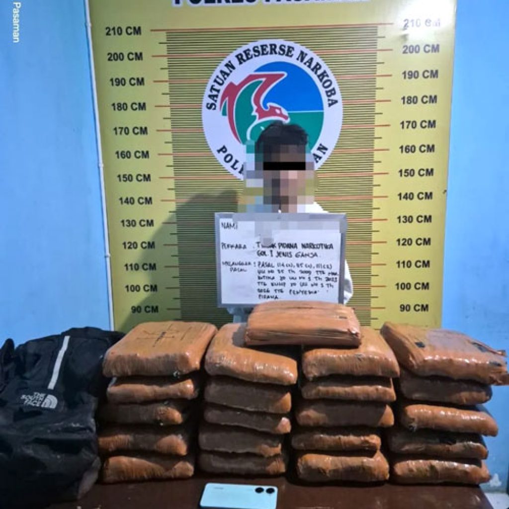 Polres Pasaman Ungkap Dugaan Peredaran 21 Paket Ganja di Padang Gelugur