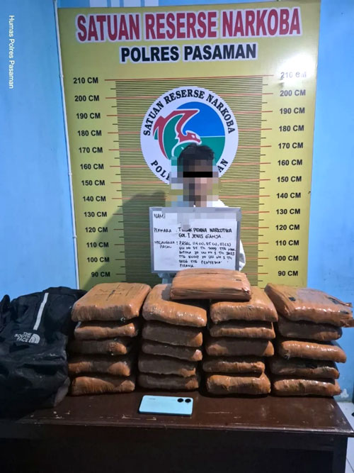Polres Pasaman Ungkap Dugaan Peredaran 21 Paket Ganja di Padang Gelugur